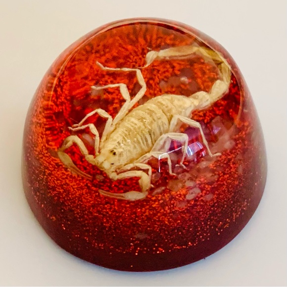 Scorpion Paperweight Acrylic Resin Dome Red Base with Glitter Felt Bottom - Picture 1 of 14